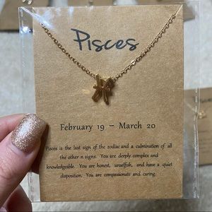 Pisces Necklace (ACCEPTING REASONABLE OFFERS)